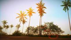 Vice ENB для GTA Vice City